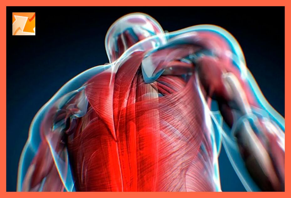 Caratteristiche del disagio